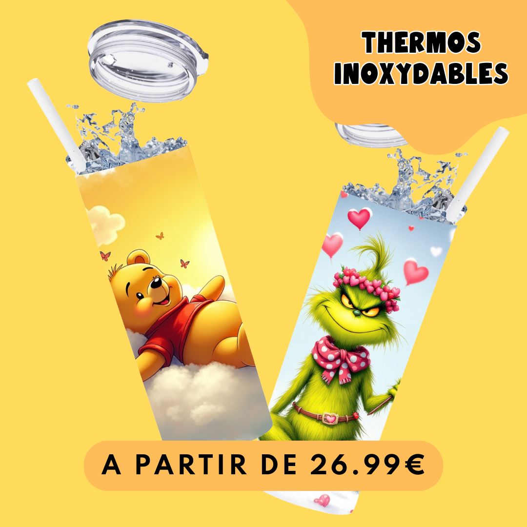 Thermos inoxydables 600ml