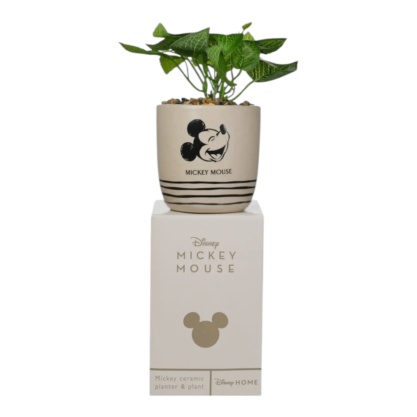 Mickey - Jardinière en grès