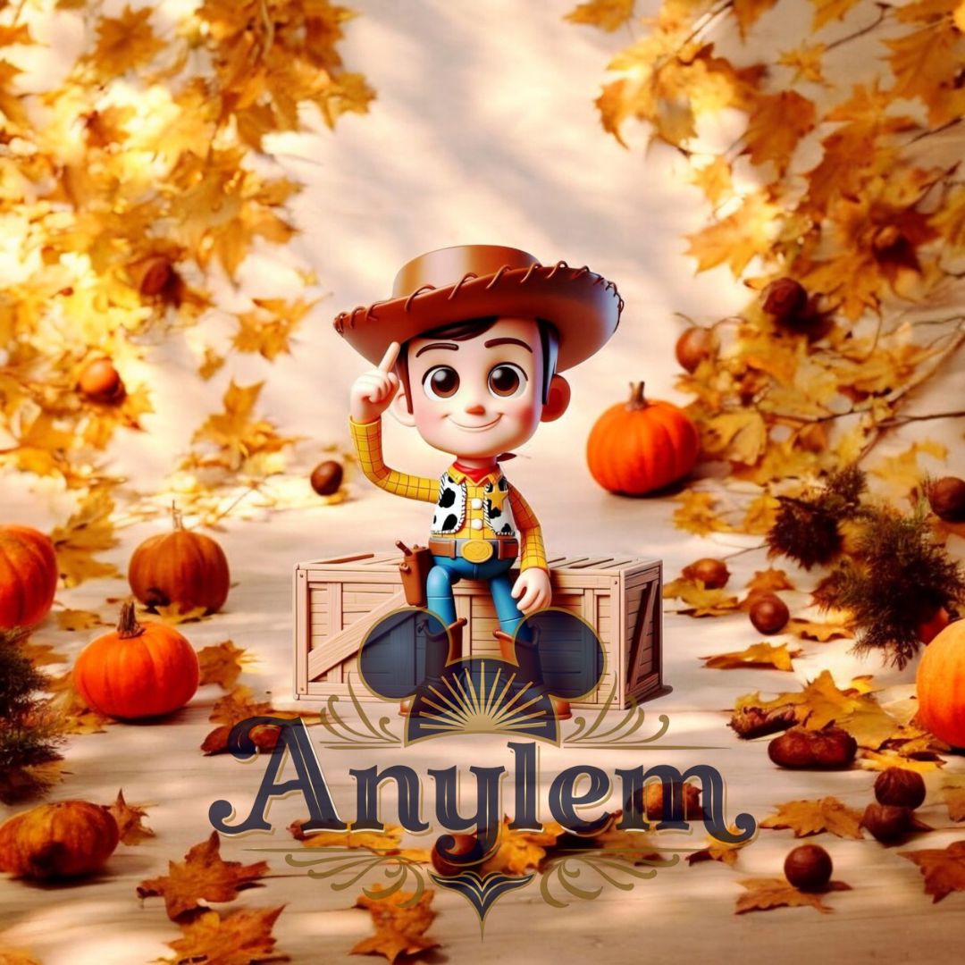 Toy Story - Personnalisation | Woody Personnalisation Disney Shop | Anylem Beauty 